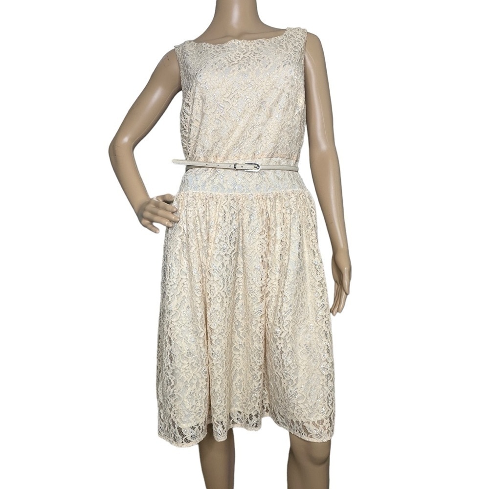 Loft metallic and lace belted dress, NWT, 10